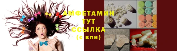 гидра Вязьма