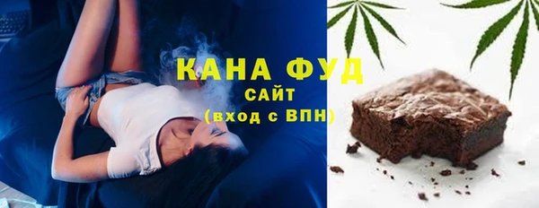 гидра Вязьма