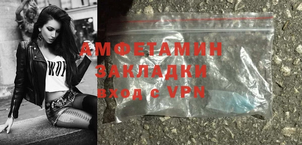 гидра Вязьма