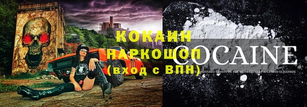прущие крисы Вяземский
