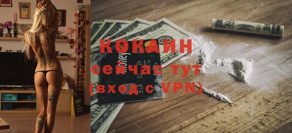 прущие крисы Вяземский