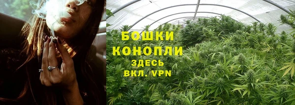 гидра Вязьма