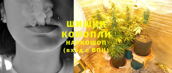 прущие крисы Вяземский