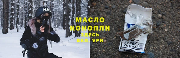 гидра Вязьма