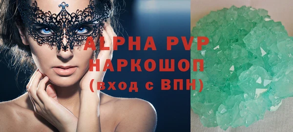 гидра Вязьма