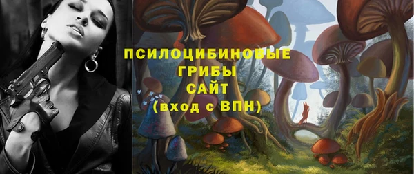 прущие крисы Вяземский