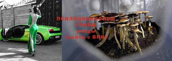 соль ск Гусев