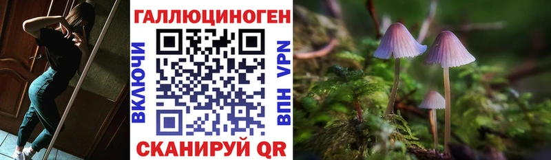 blacksprut ссылки  Черкесск  Галлюциногенные грибы GOLDEN TEACHER  где купить наркотик 